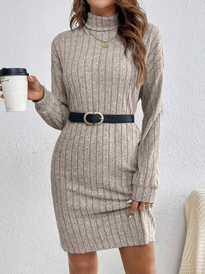 Ribbed Knit Turtleneck Mini Dress